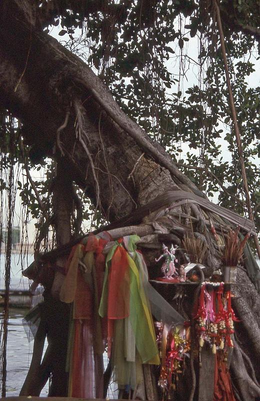 WT 0800 123-05 Thailand.jpg